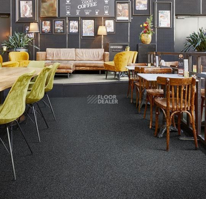 Tessera Chroma 3606 Tuxedo фото 3 | FLOORDEALER